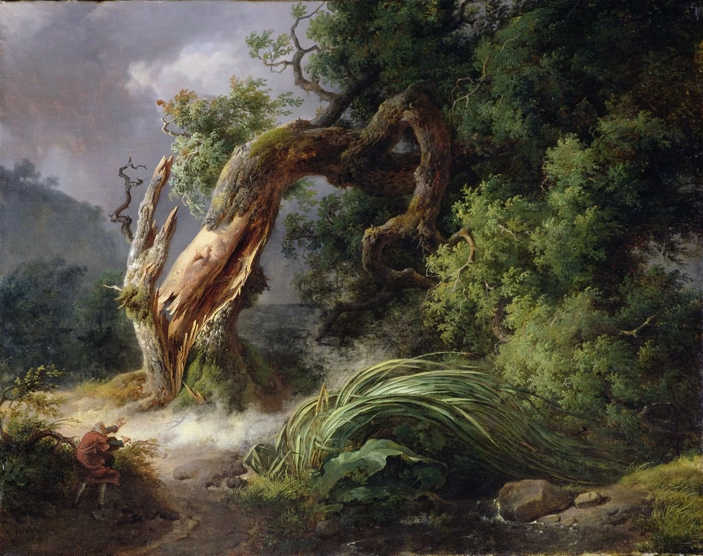 La quercia e la canna - Fitzwilliam Museum, University of Cambridge